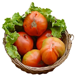 Cesta con tomates